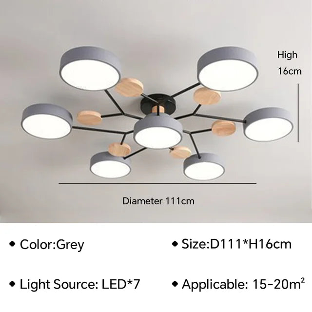 Trendcraft - modern ceiling light