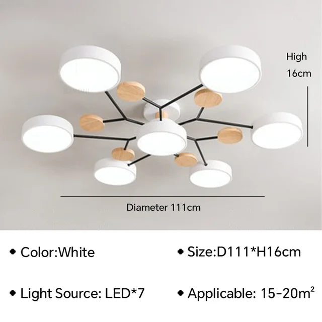 Trendcraft - modern ceiling light