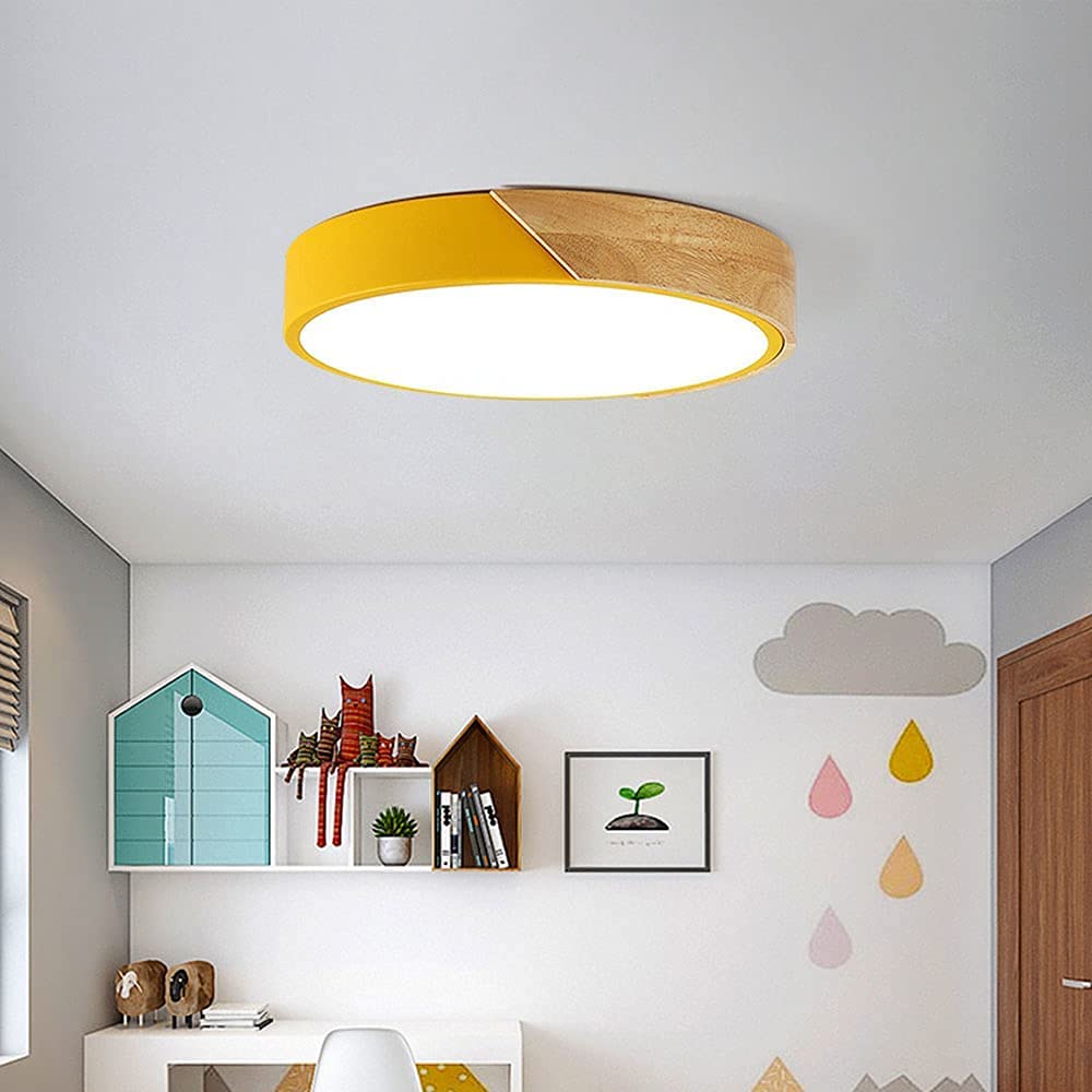 Minimalist Round LED Dimmable Ceiling Light -Homdiy