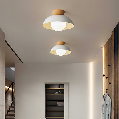 Modern Minimalist Eco-friendly Ceiling Light -Homdiy