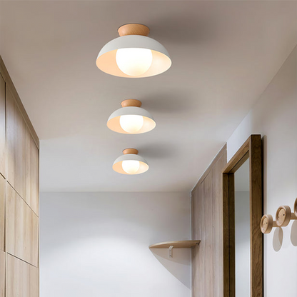 Modern Minimalist Eco-friendly Ceiling Light -Homdiy