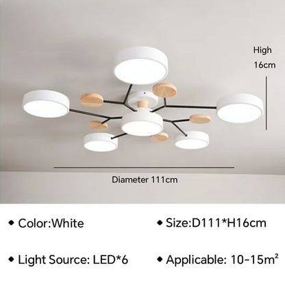 Trendcraft - modern ceiling light