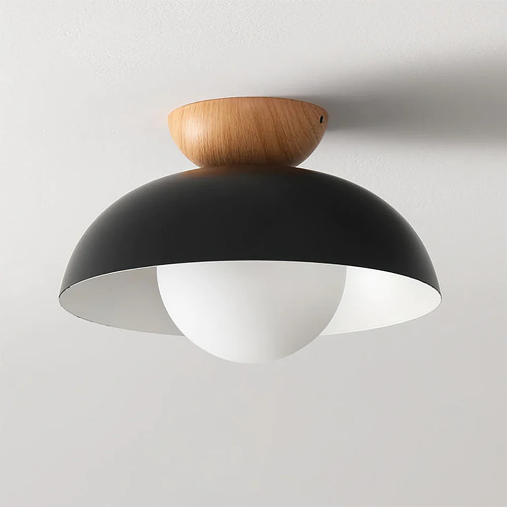 Modern Creative Iron Ceiling Pendant Light