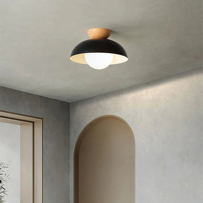 Modern Creative Iron Ceiling Pendant Light