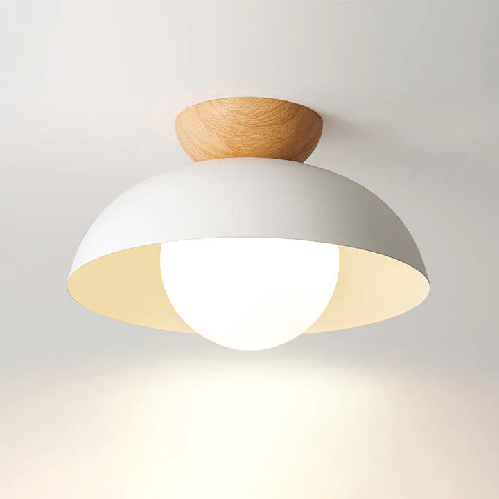 Modern Creative Iron Ceiling Pendant Light