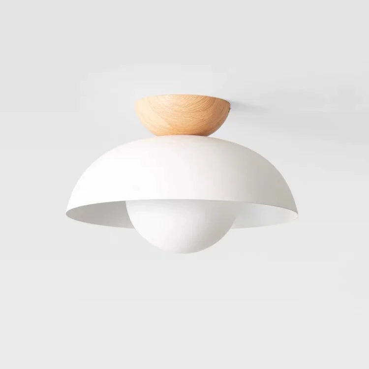 Modern Creative Iron Ceiling Pendant Light