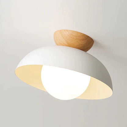 Modern Creative Iron Ceiling Pendant Light