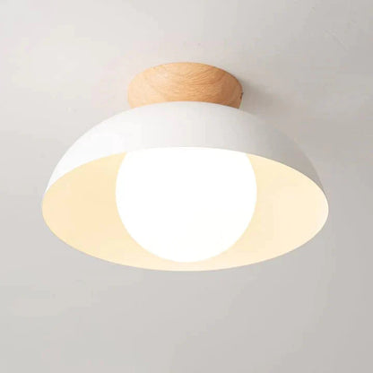 Modern Creative Iron Ceiling Pendant Light