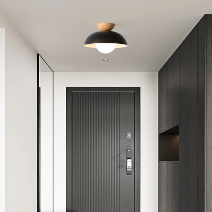 Modern Creative Iron Ceiling Pendant Light