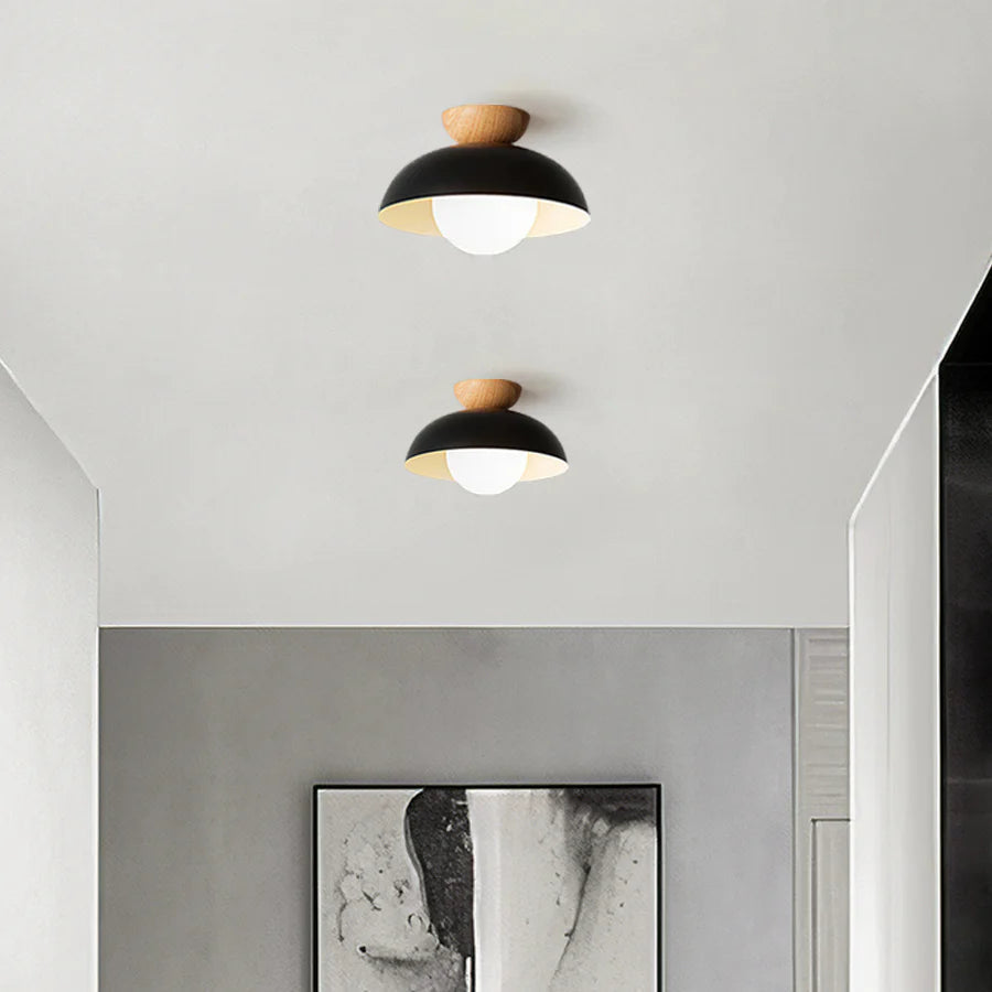Modern Creative Iron Ceiling Pendant Light