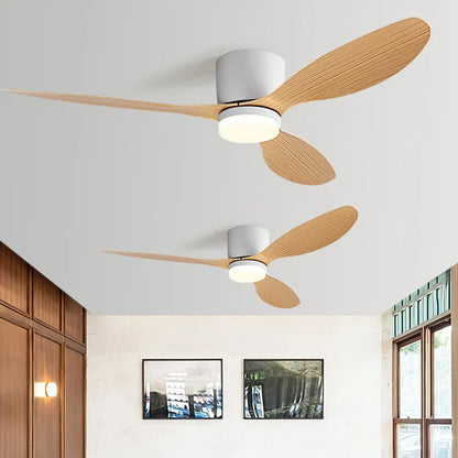 Nordic led ceiling fan lamp