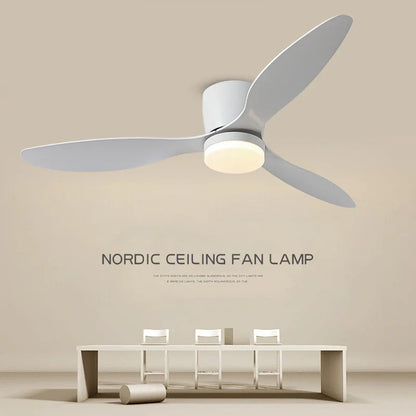 Nordic led ceiling fan lamp